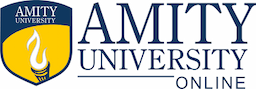 Amity University